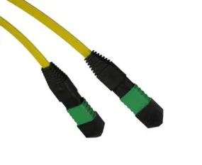 MTP/MPO, APC Polish, Fiber Optic Cable, 12 Strand, Single-Mode 9/125, OS2, Plenum, Female-Female, Method C