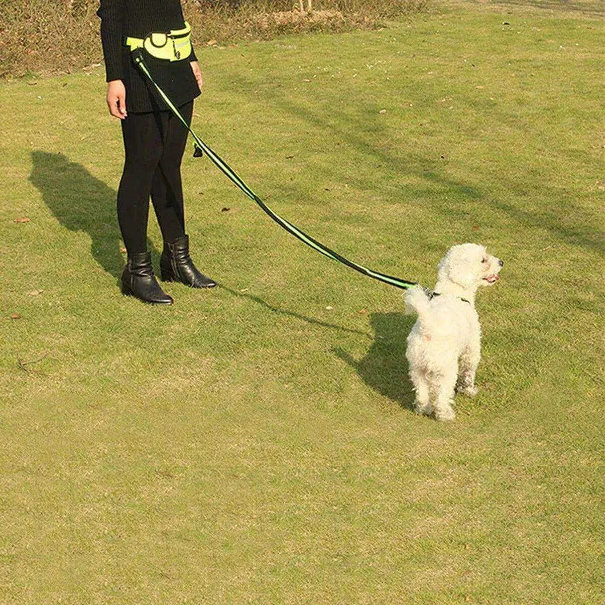 Tail Runner - Hands-Free Dog Leash