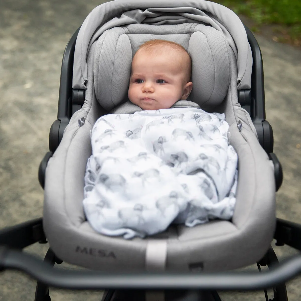 UPPAbaby Mesa V2 Infant Car Seat   Base